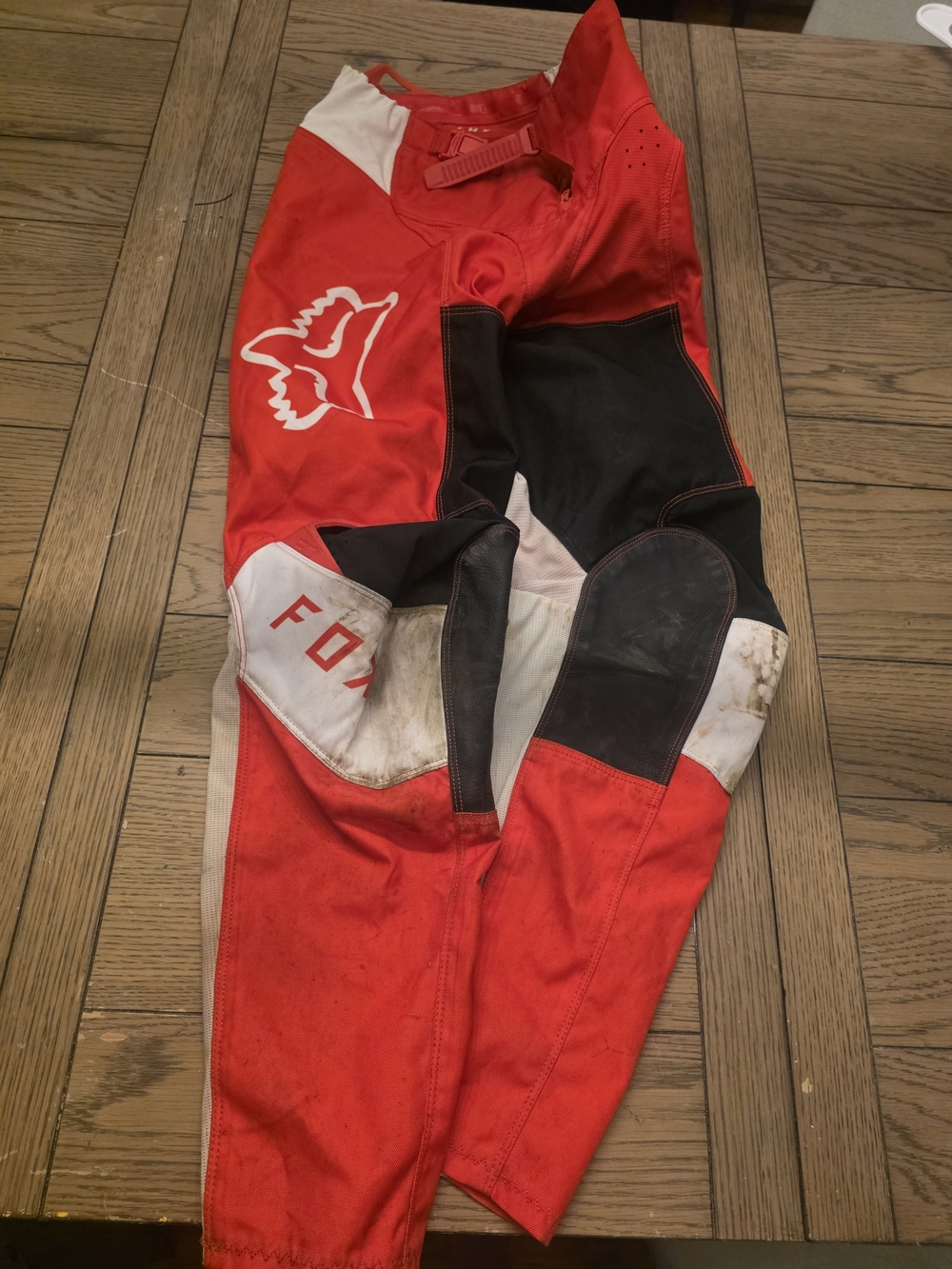 Fox Red Black White Kids Riding Pants 14Y 28" Waist Stained